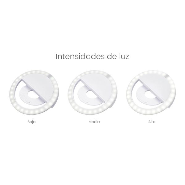 ARO DE LUZ ASTRID - Imagen 4