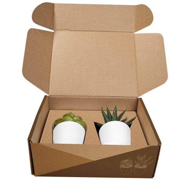 SET DE PLANTAS ALISO BLANCO - Imagen 3