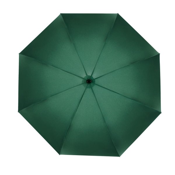 PARAGUAS BRUNÉI VERDE - Imagen 2