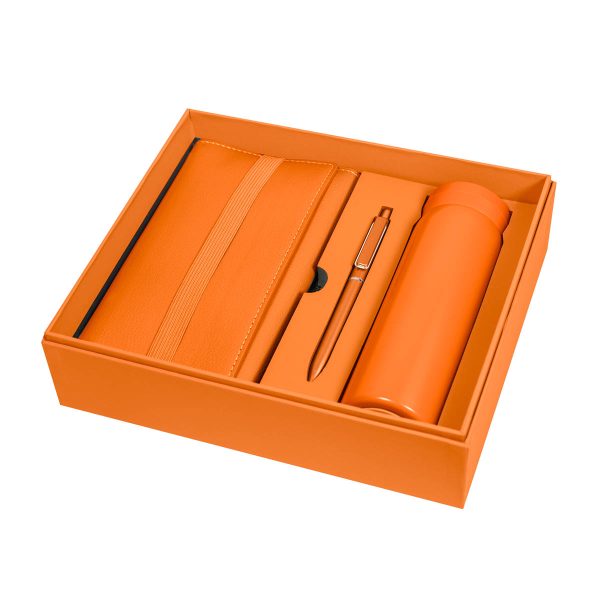 SET BIRKIN NARANJA