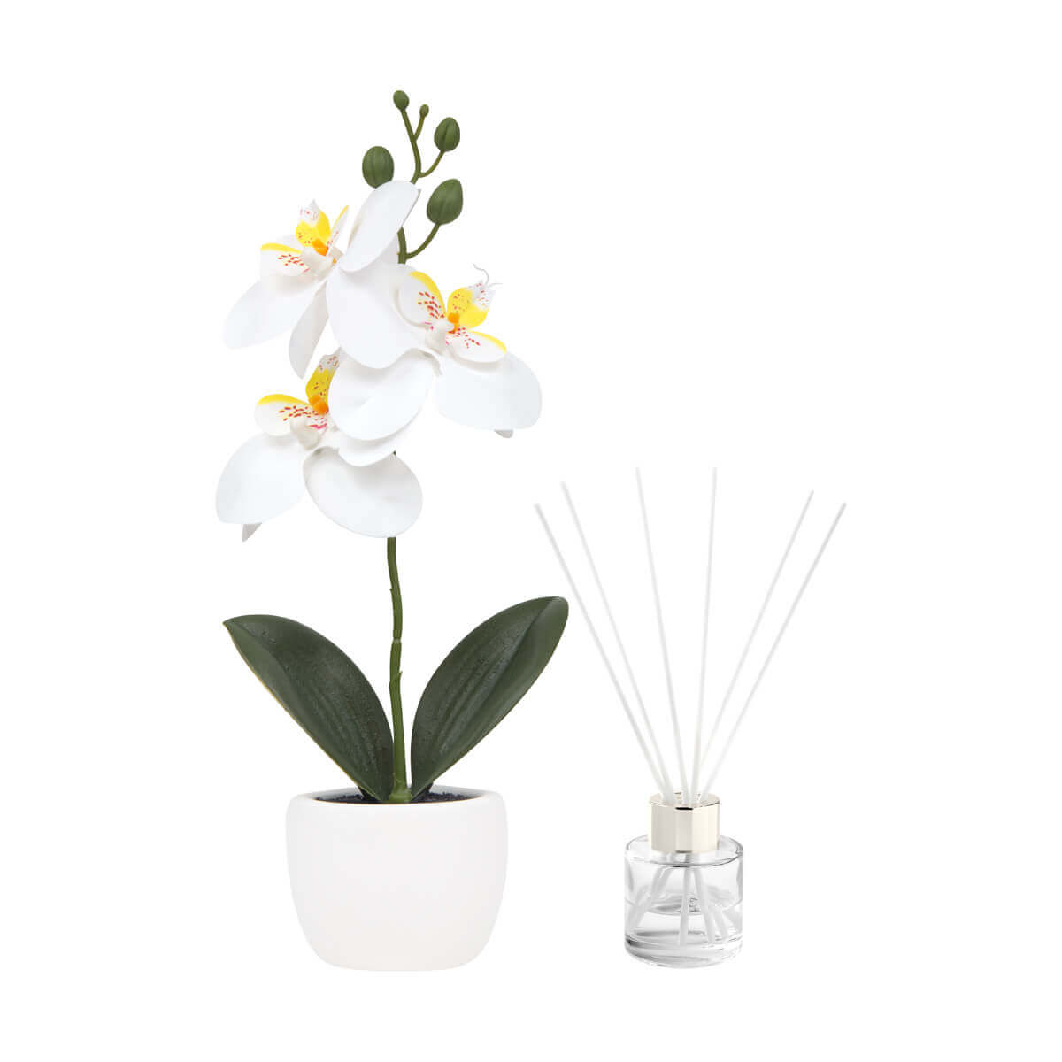 SET DECORATIVO FIORA BLANCO - Imagen 2