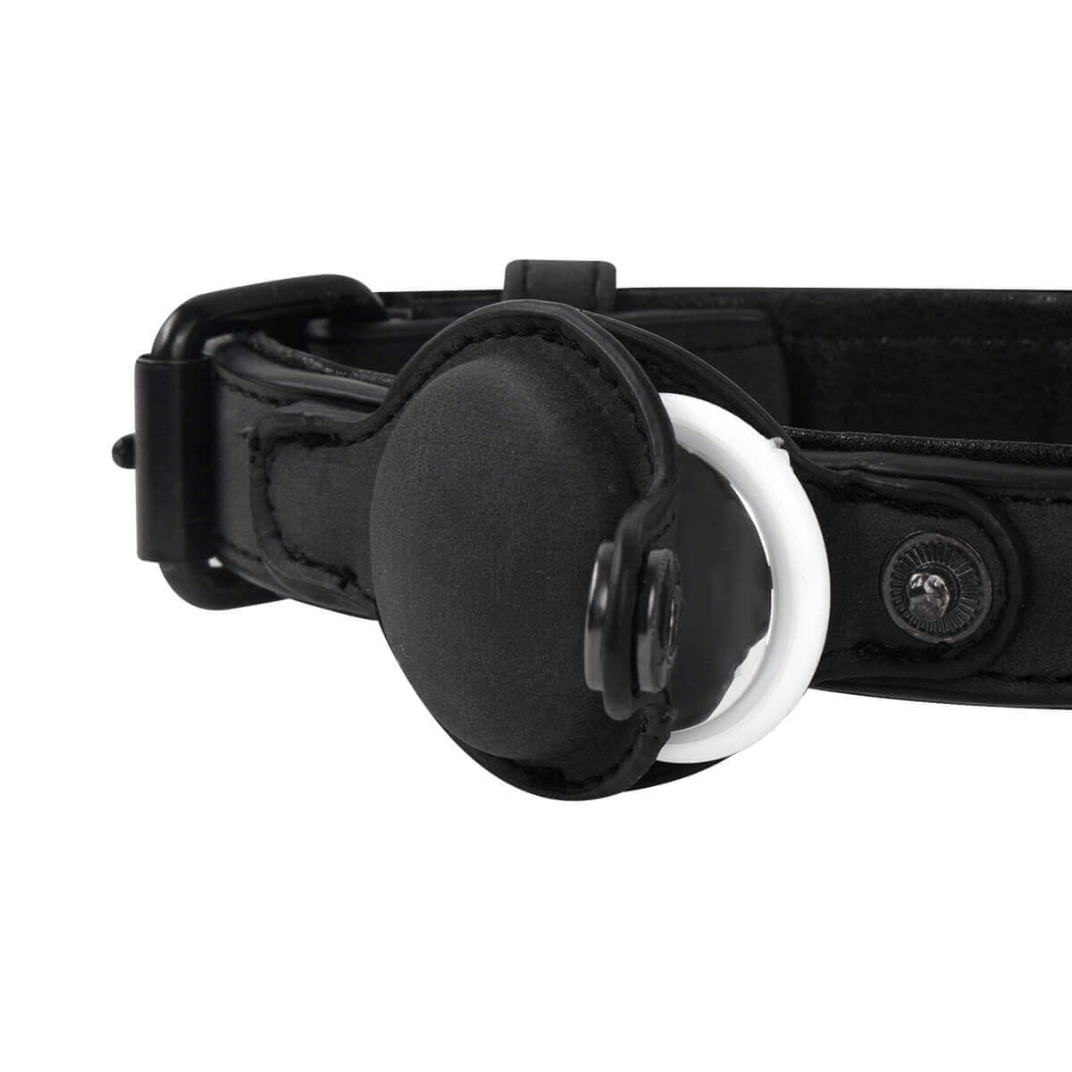 COLLAR PARA MASCOTA NAVA NEGRO - Imagen 5