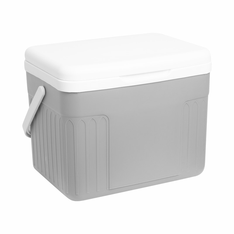 HIELERA BRIXTON GRIS